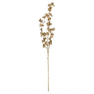 Ornamental branch hydrangea gold champagne 80cm*